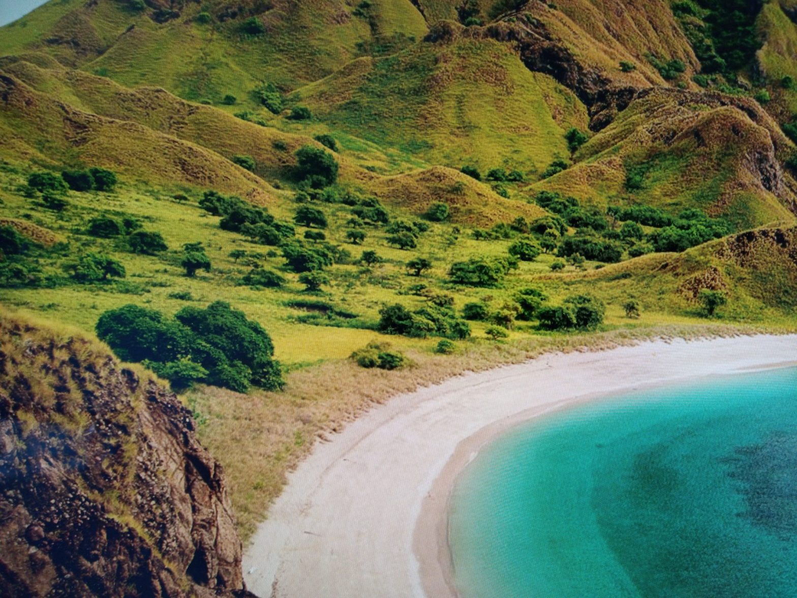 Today’s Wise Saying For May