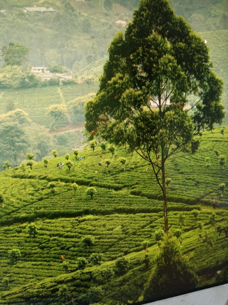 Video Playlist of Nkwen Language Lessons