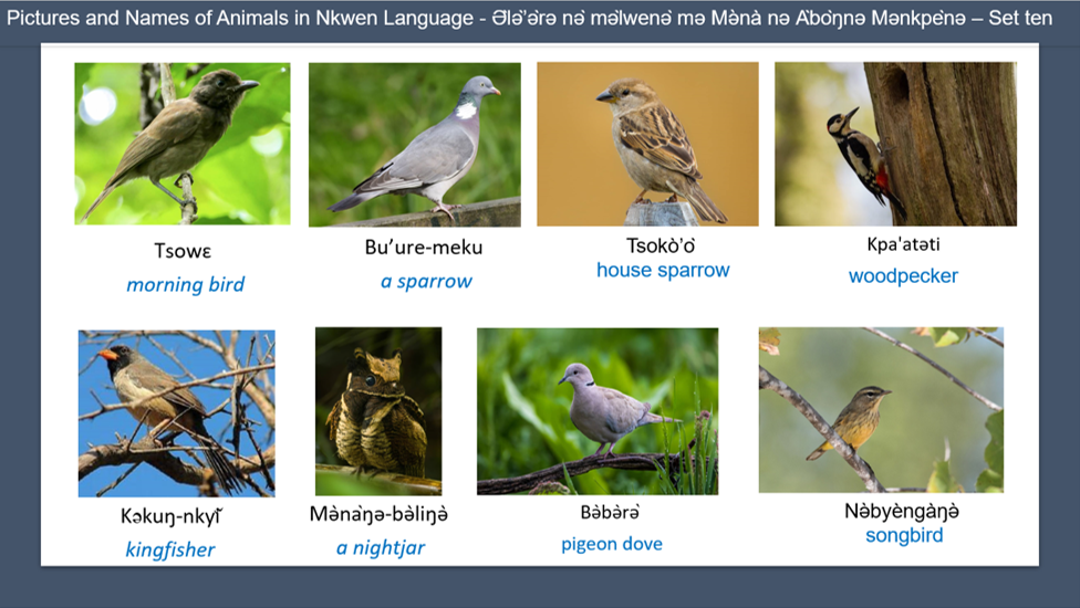 Pictures and Names of Animals in Nkwen Language - Ə̀lǝ̀’ǝ̀rǝ nǝ̀ mǝ̀lwenǝ̀ mǝ Mǝ̀nà nǝ Àbòŋnǝ Mǝnkpènǝ – Set ten
