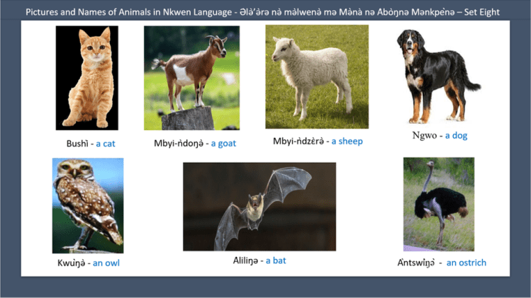 Pictures and Names of Animals in Nkwen Language - Ə̀lǝ̀’ǝ̀rǝ nǝ̀ mǝ̀lwenǝ̀ mǝ Mǝ̀nà nǝ Àbòŋnǝ Mǝnkpènǝ – Set Eight - General Education For All And Entertainment