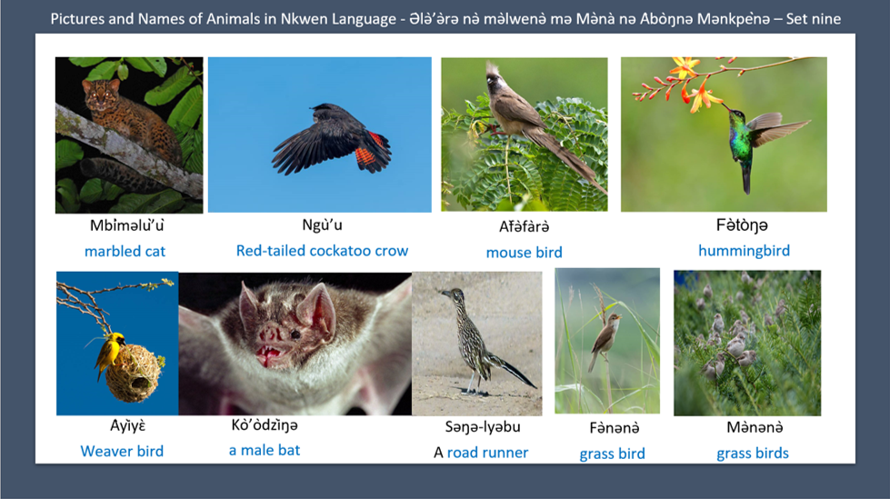 Pictures and Names of Animals in Nkwen Language - Ə̀lǝ̀’ǝ̀rǝ nǝ̀ mǝ̀lwenǝ̀ mǝ Mǝ̀nà nǝ Àbòŋnǝ Mǝnkpènǝ – Set nine