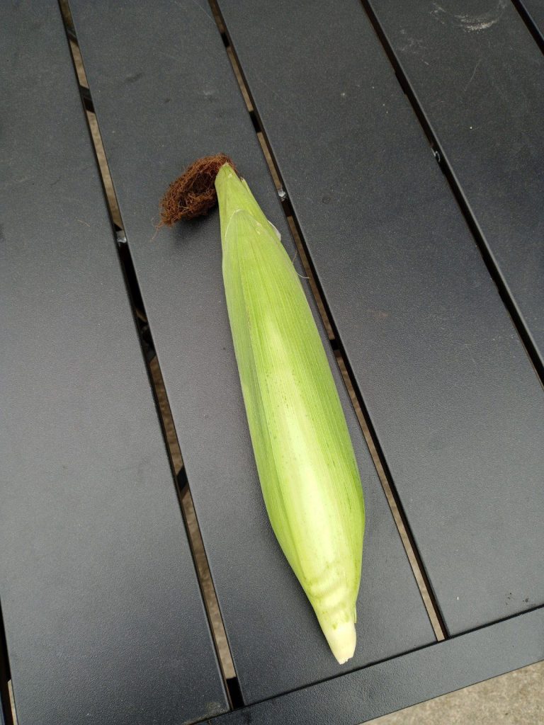 wp-16845593992406070537250181885273