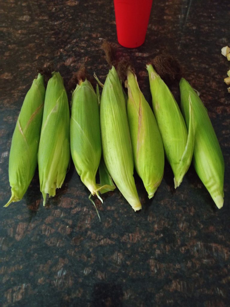 wp-16845593989866109842189742263429