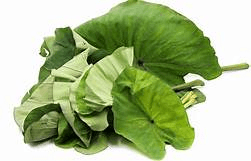 Cocoyam leaves