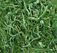 Sliced cocoyam leaves