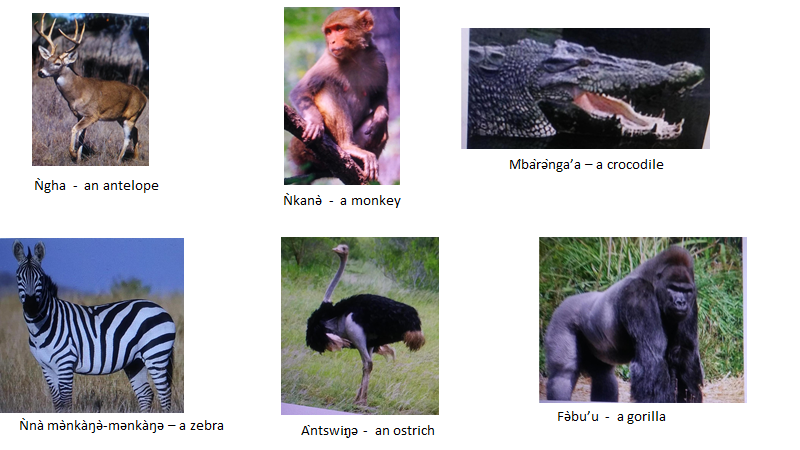 Names of Animals Names of Animals