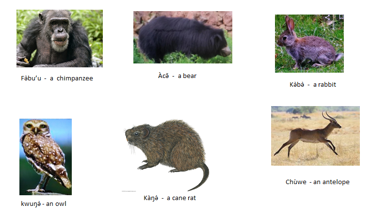 Pictures and Names of Animals Pictures and Names of Animals