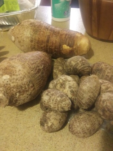 Cocoyam