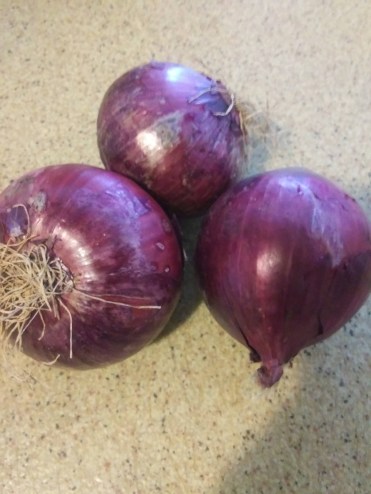 Onion