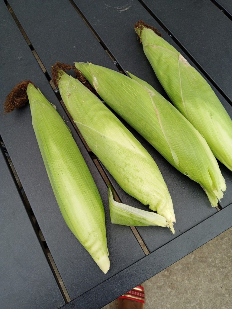 wp-16845593993015855804001588730159