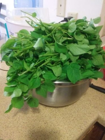 Huckleburry in a bowl