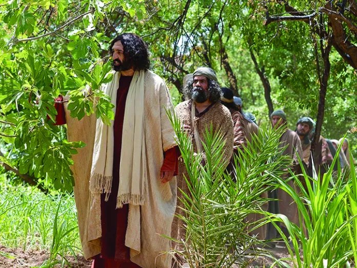 Jesus and fig tree