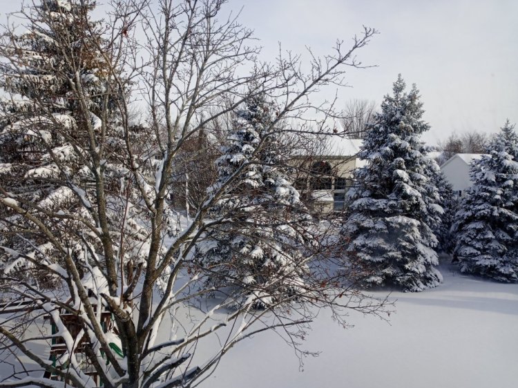 Snow and the Environment -General Education For All And Entertainment