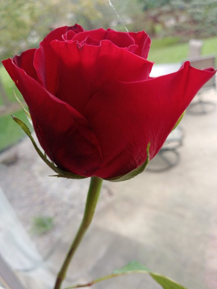 wp-16841796269032820112313986209075