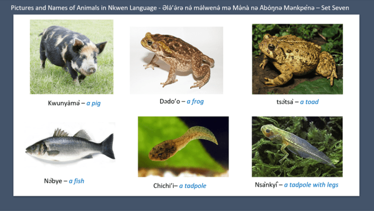 Pictures and Names of Animals in Nkwen Language - Ə̀lǝ̀’ǝ̀rǝ nǝ̀ mǝ̀lwenǝ̀ mǝ Mǝ̀nà nǝ Àbòŋnǝ Mǝnkpènǝ – Set Seven - General Education For All And Entertainment