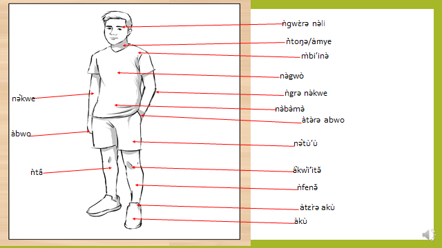 Parts of the body in Nkwen Language