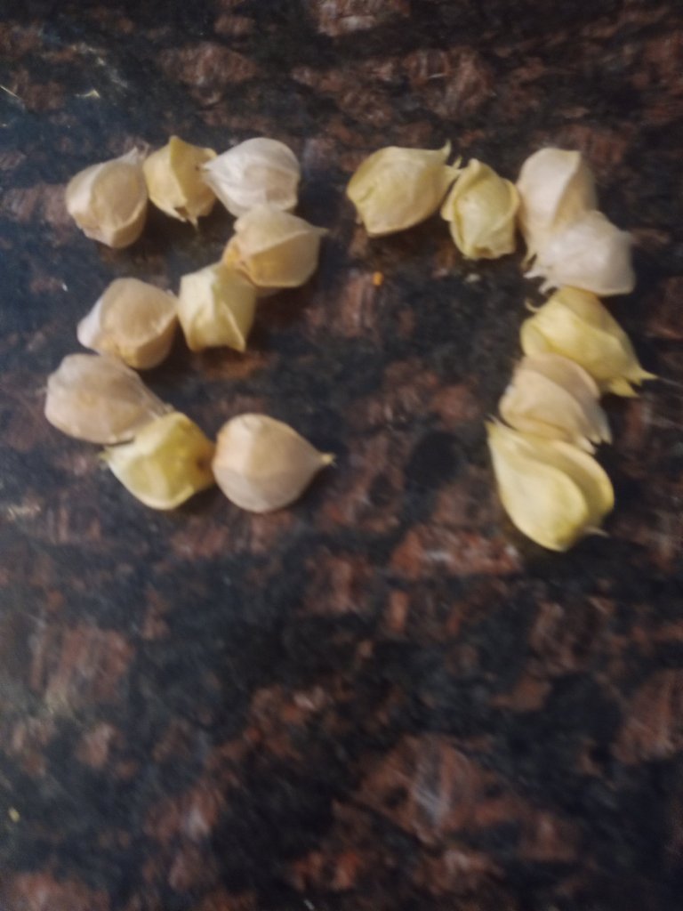 img_20220904_180957_3695970868909586938265