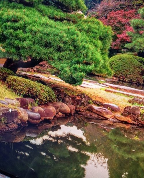 General Knowledge Revision Playlist. General Knowledge Quizzes for Elementary Scholars.