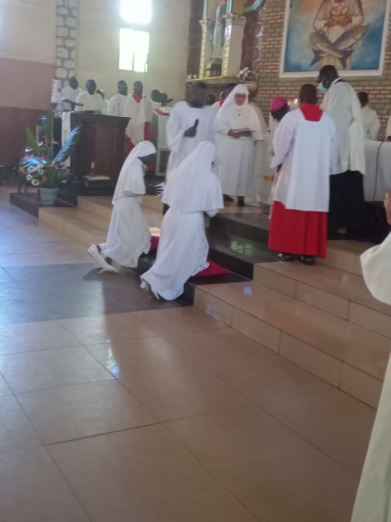 img_20221209_034021_1274692179347940157536