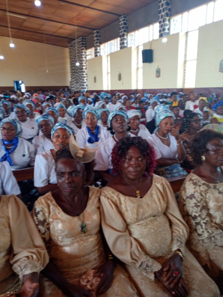 img_20221211_035052_365-47732747515829457753