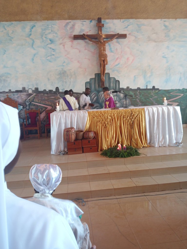 img_20221211_035107_902-34373985635278527887