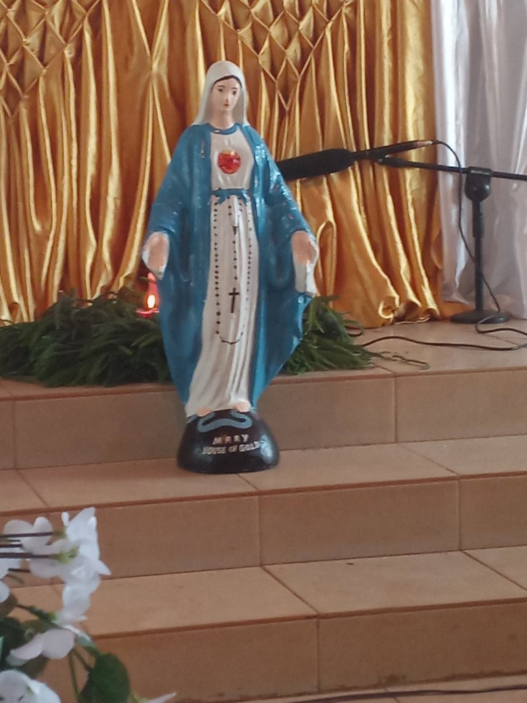 img_20221211_051912_453-15404022469626168353