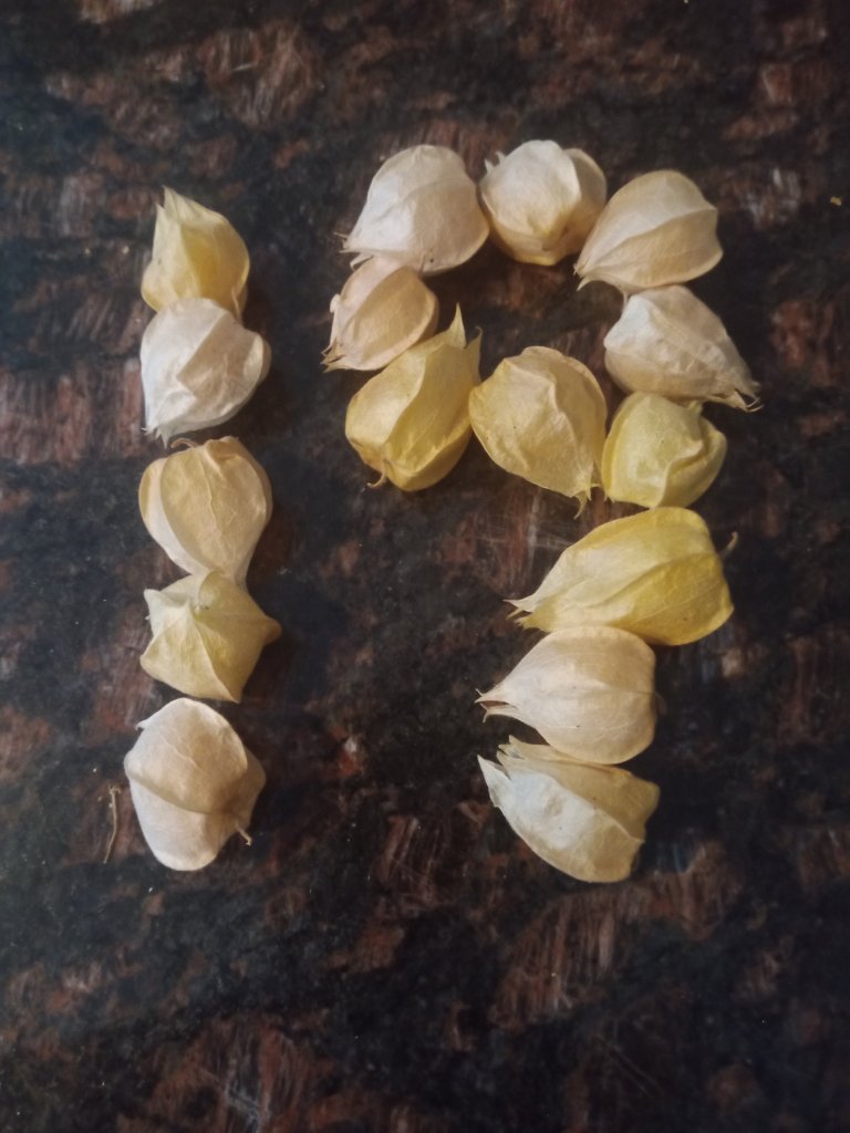 img_20220904_175530_6466117049002286129133