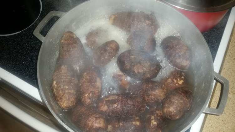 Boiled Cocoyam
