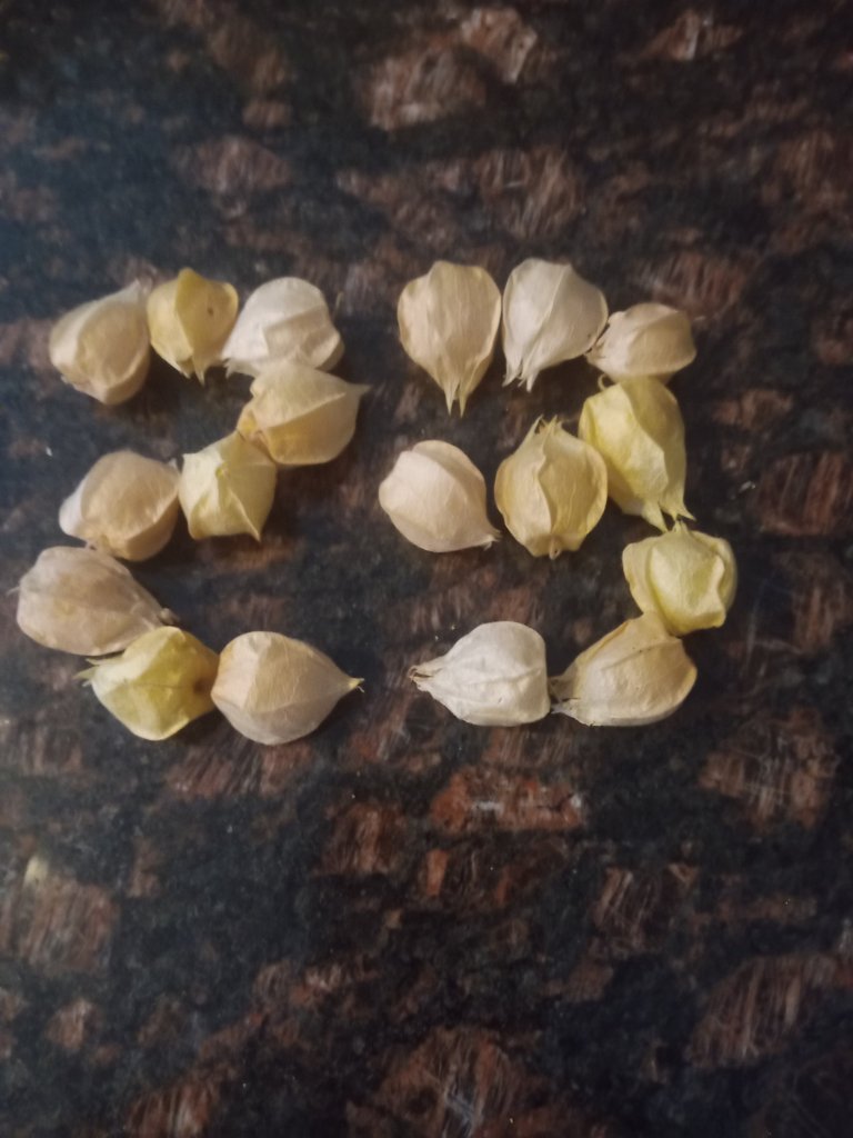 img_20220904_175919_1934294106868715729466