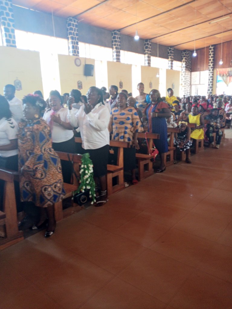 img_20221211_035047_3038090234819875254113