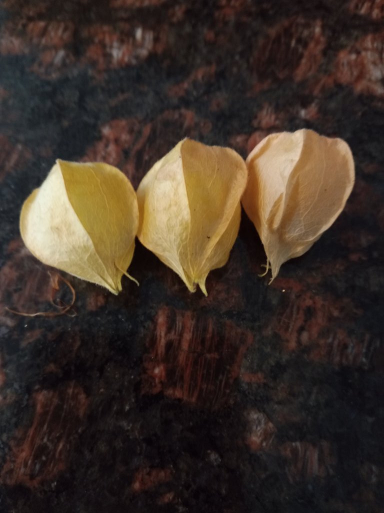 img_20220903_104950_9651785550486866432832