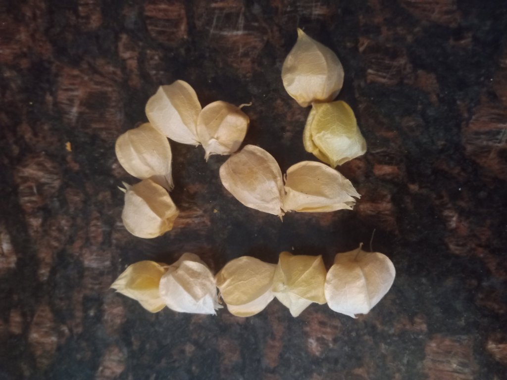 img_20220904_174958_7124412644113981657695