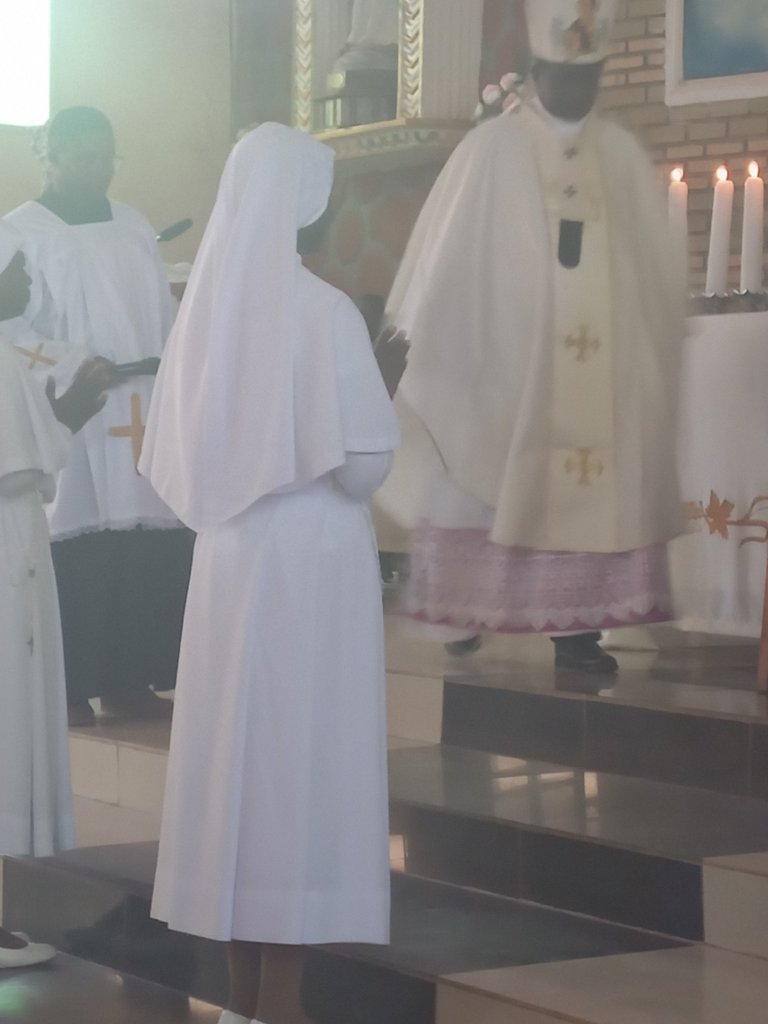 img_20221209_031704_6926621204730119580635