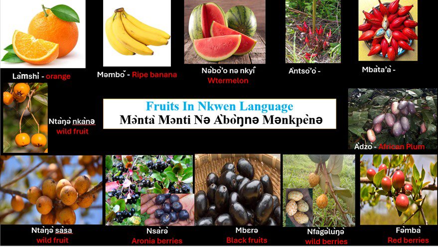 Fruits- General Education For All And Entertainment