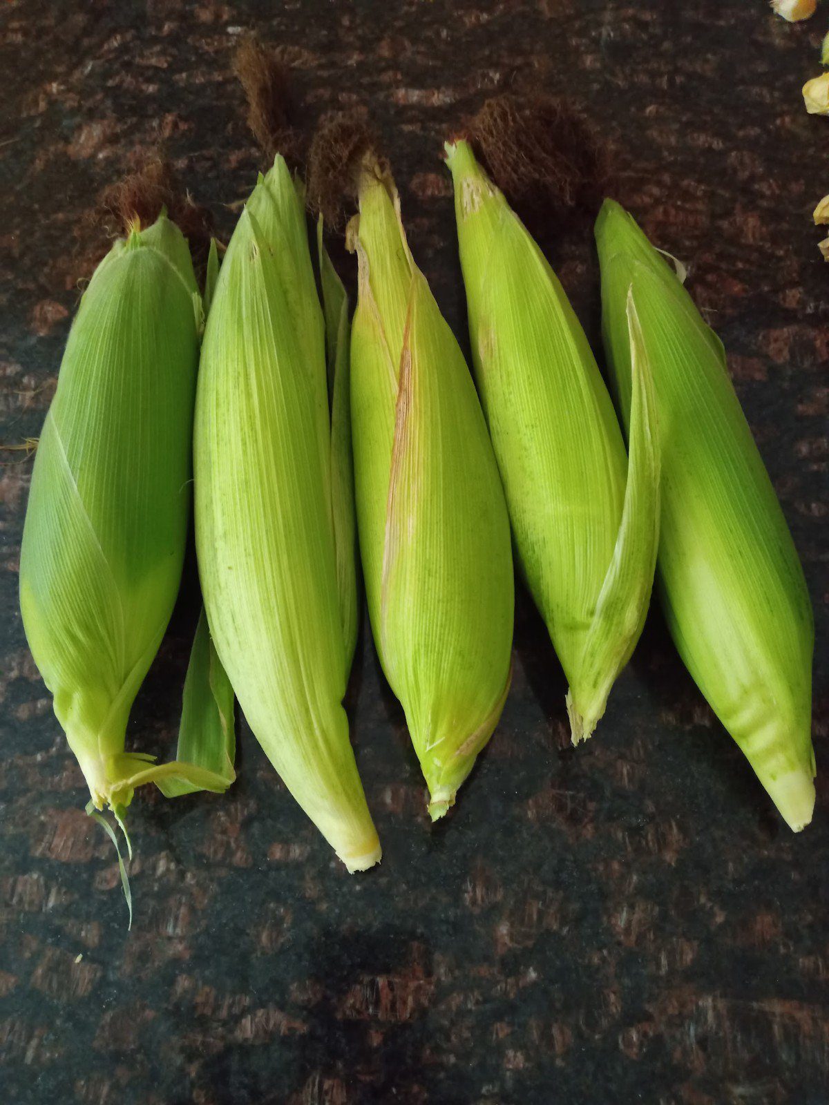 Slideshow of Nkwen Language Exercises