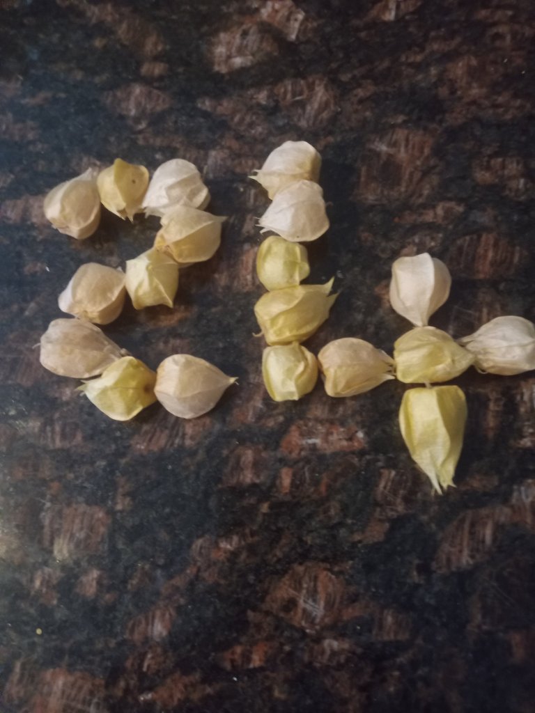 img_20220904_180000_3861905699759555574816