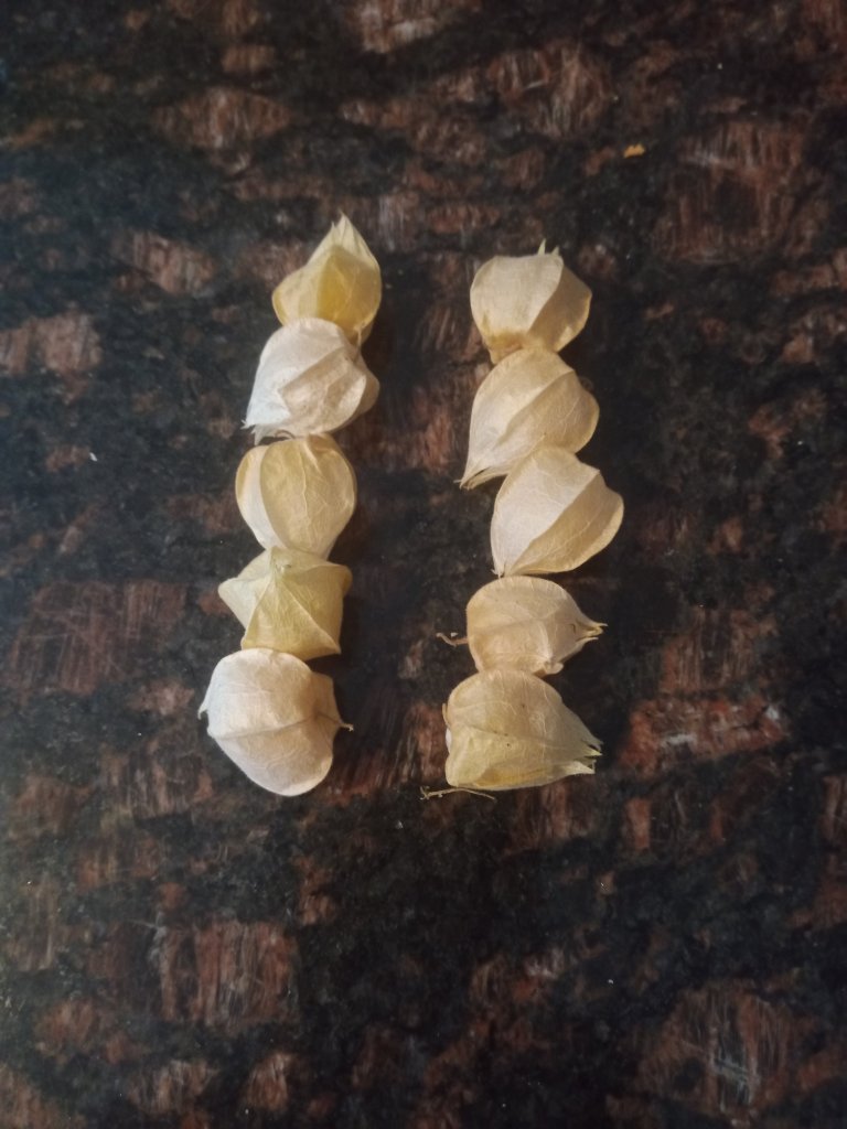 img_20220904_174845_8829036466086938286318