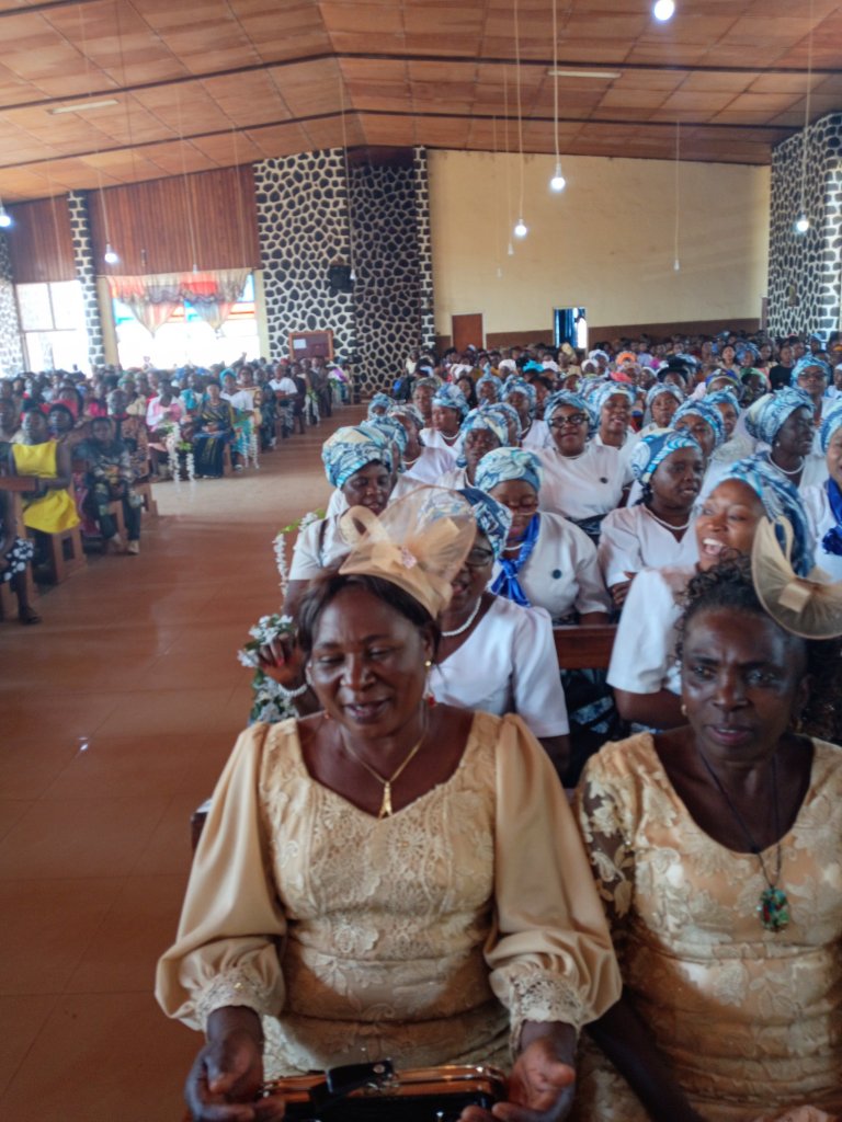 img_20221211_035050_625-25781574204169615100