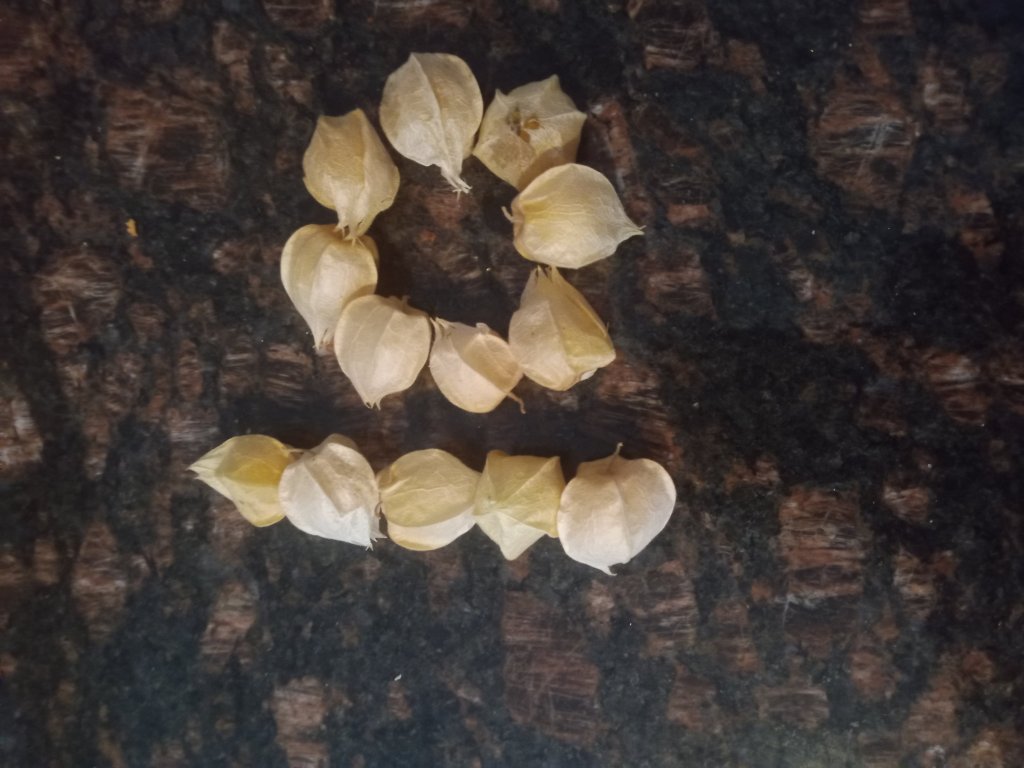 img_20220904_174117_7167579711575585360757