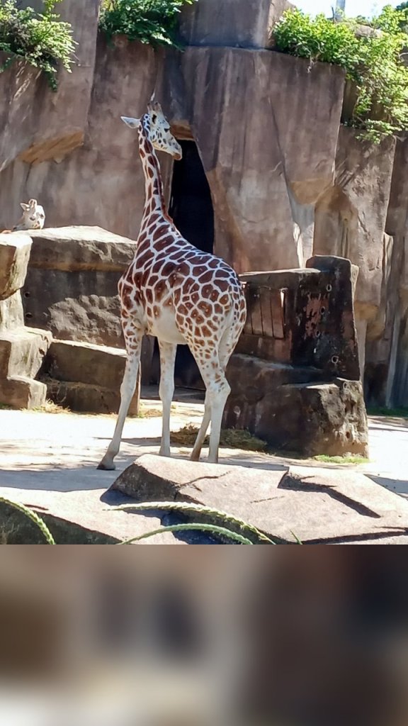 wp_story1656003669366_325642661459469113793