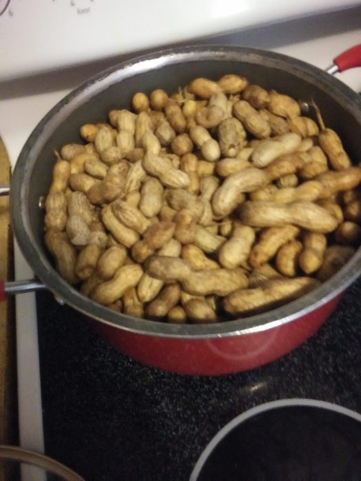 Peanuts - groundnuts - General Education For All And Entertainment