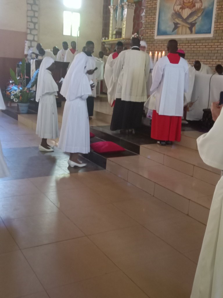 img_20221209_034023_7595873385246829709493