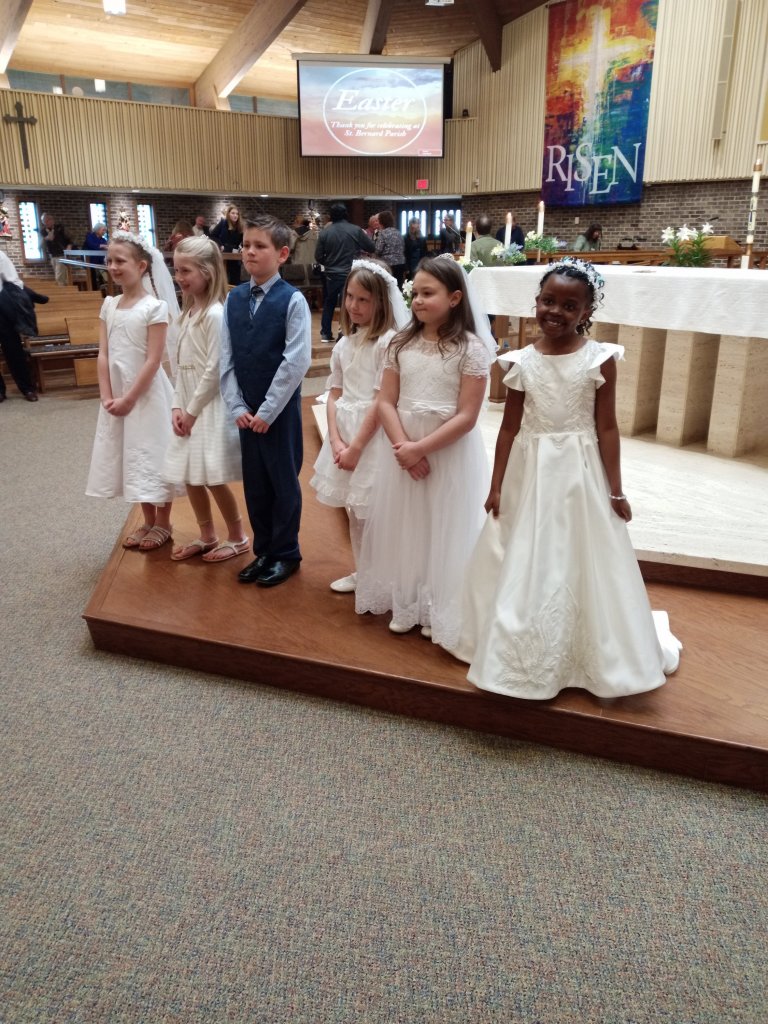 wp-16832960509175585155610595691432