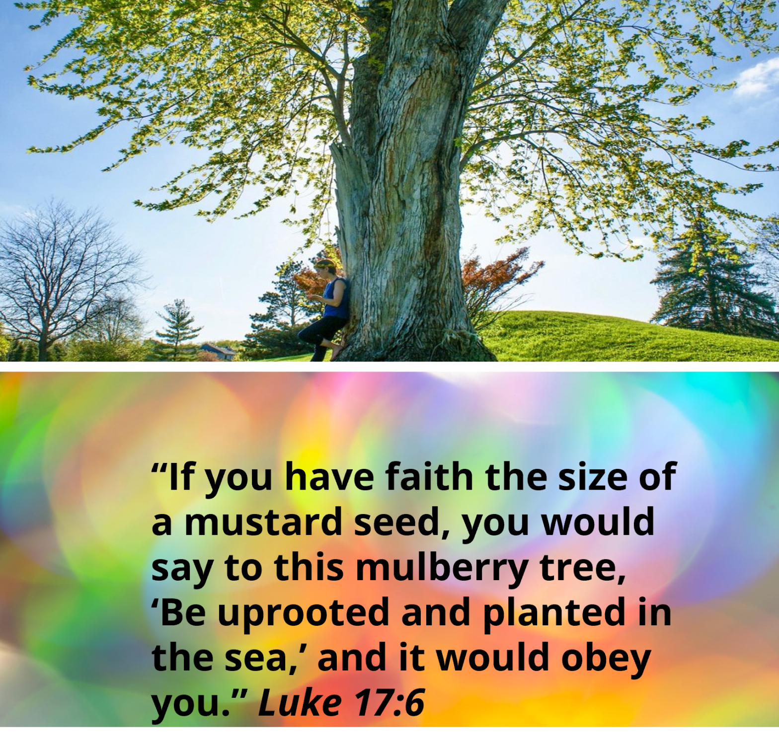 Faith like a mustard seed