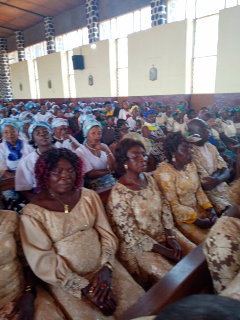 img_20221211_035053_6946298706391378839446