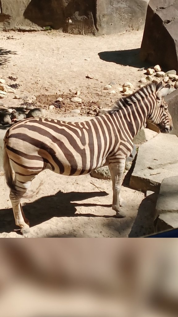 wp_story1656003670732_375553456386672059194