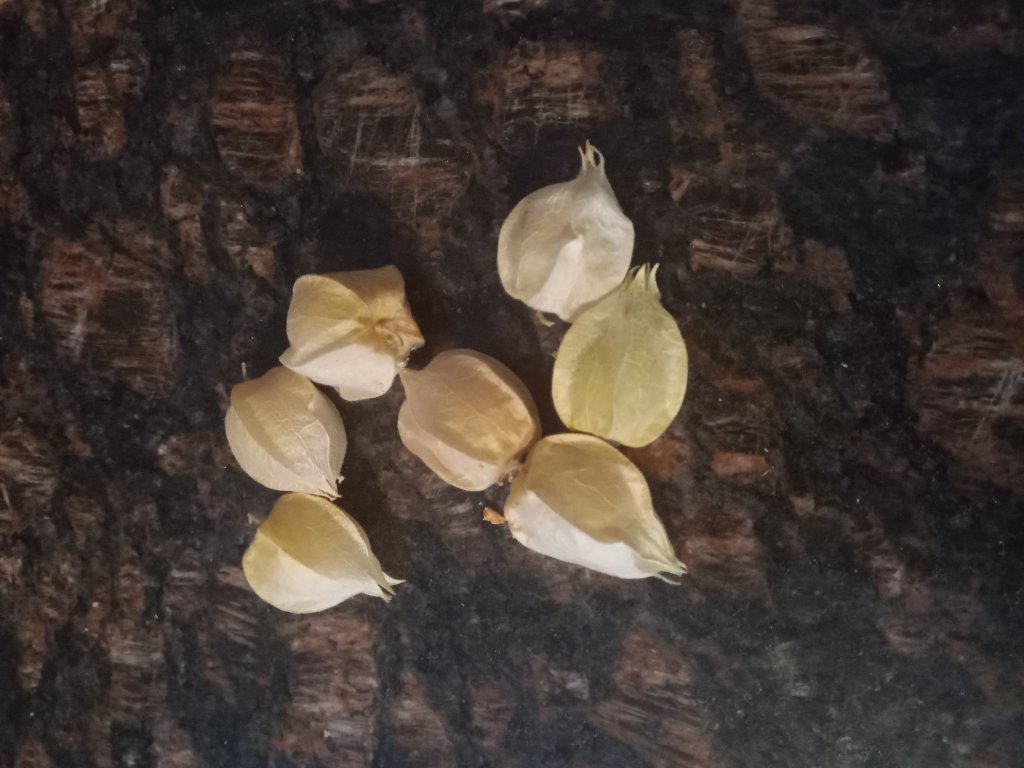 img_20220904_184143_296549552467724432727