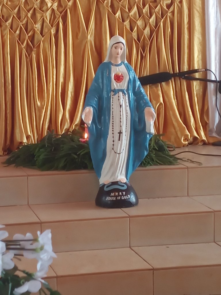 Sister Yvonne's Final Profession photos