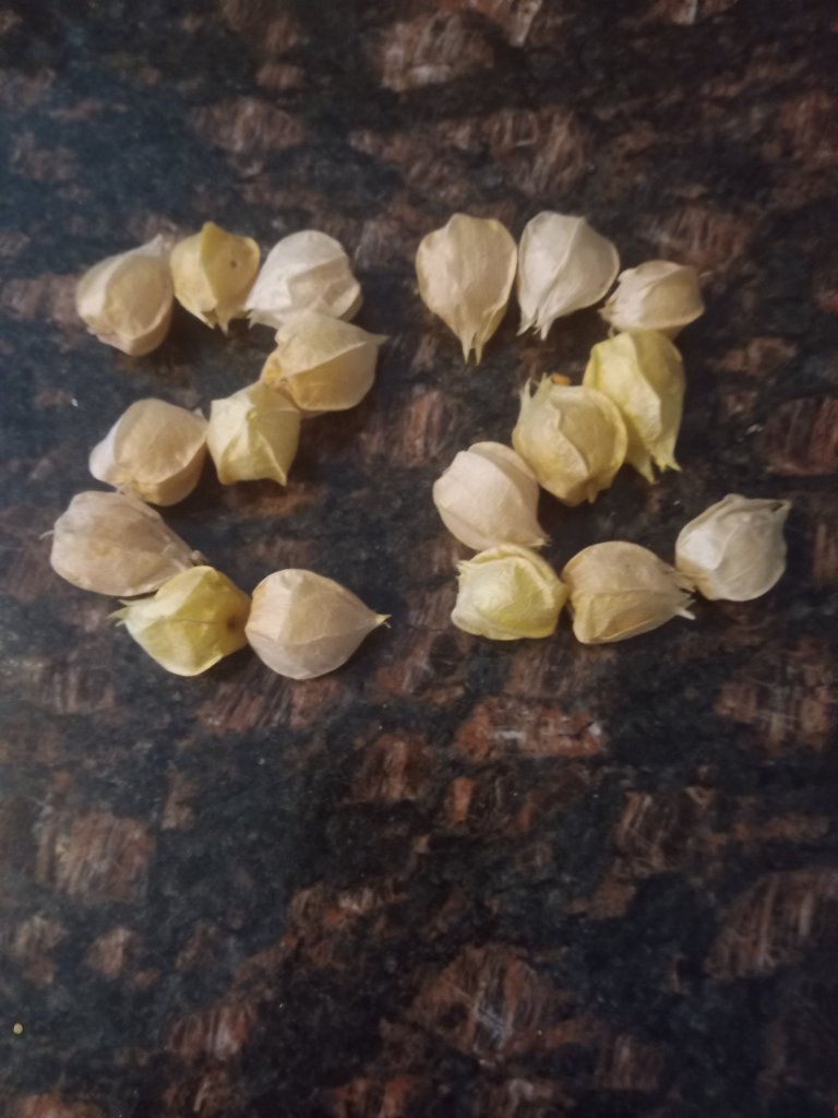 img_20220904_175858_5217508704668241219143