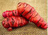 red cocoyams